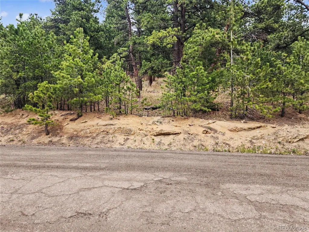 6078 Lone Peak Drive Evergreen CO 80439