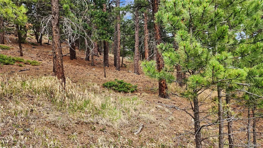 6078 Lone Peak Drive Evergreen CO 80439