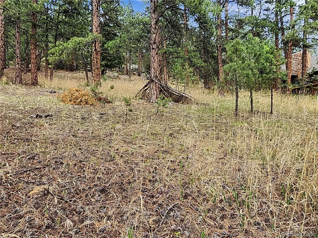 6078 Lone Peak Drive Evergreen CO 80439