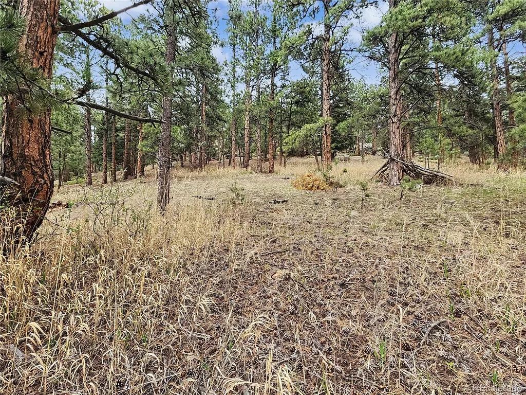 6078 Lone Peak Drive Evergreen CO 80439