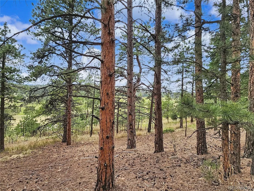6078 Lone Peak Drive Evergreen CO 80439