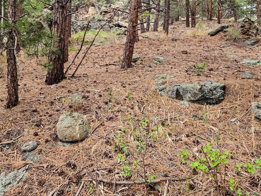 6078 Lone Peak Drive Evergreen CO 80439