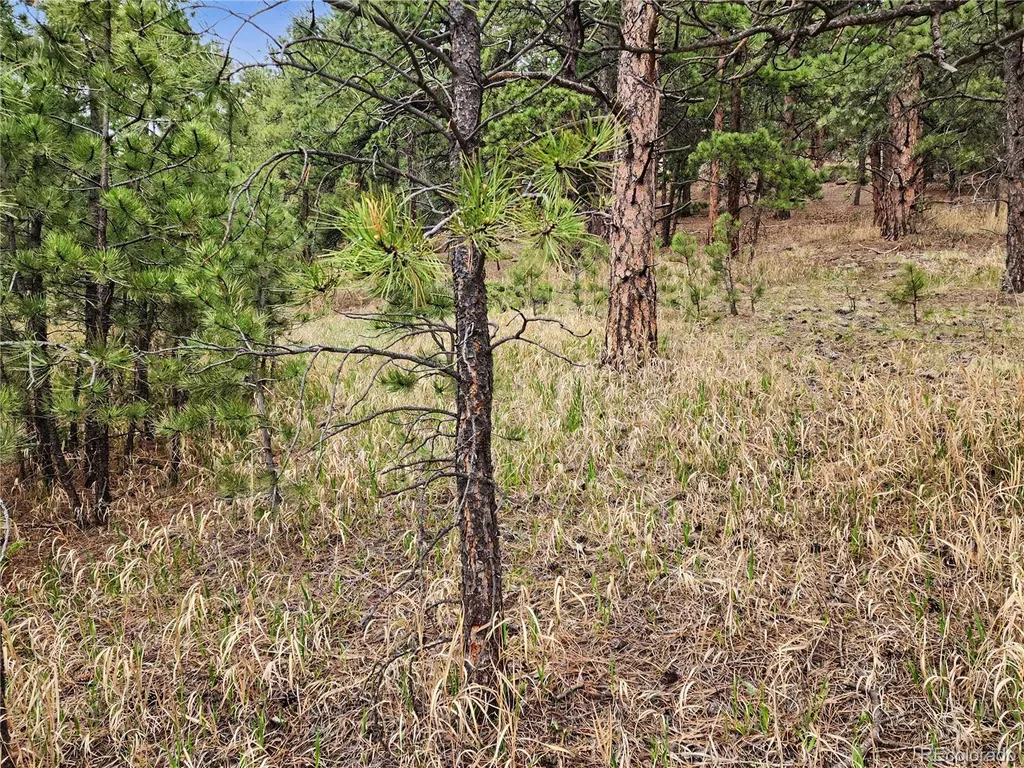 6078 Lone Peak Drive Evergreen CO 80439