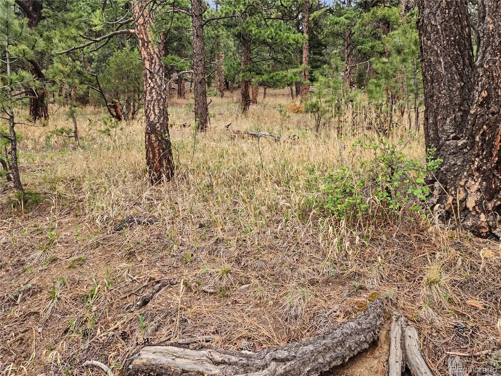 6078 Lone Peak Drive Evergreen CO 80439