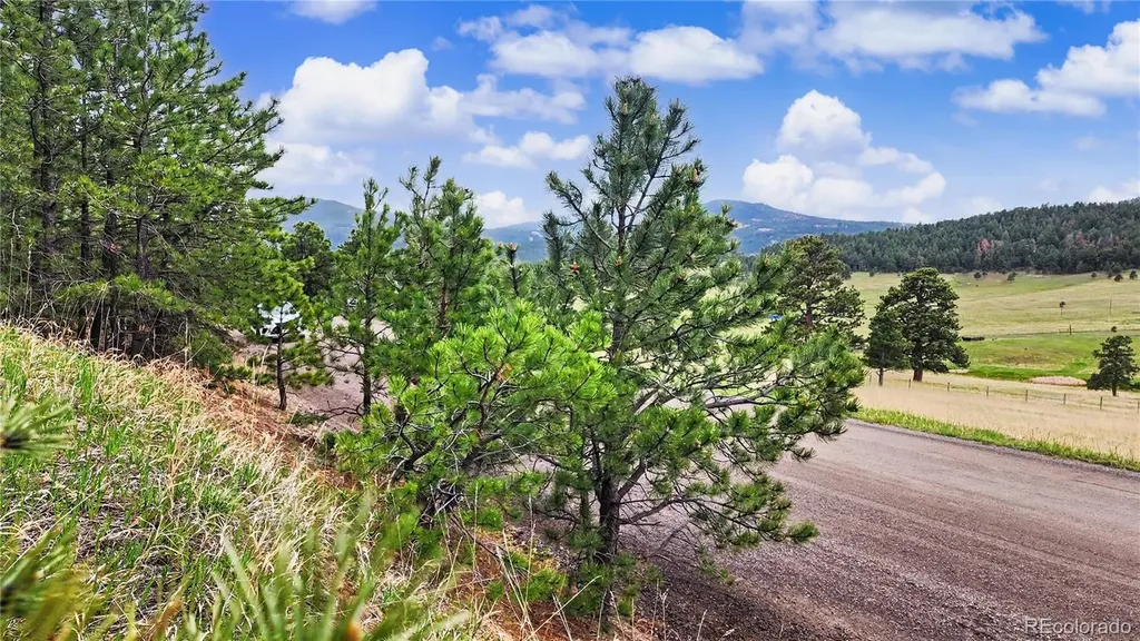 6078 Lone Peak Drive Evergreen CO 80439