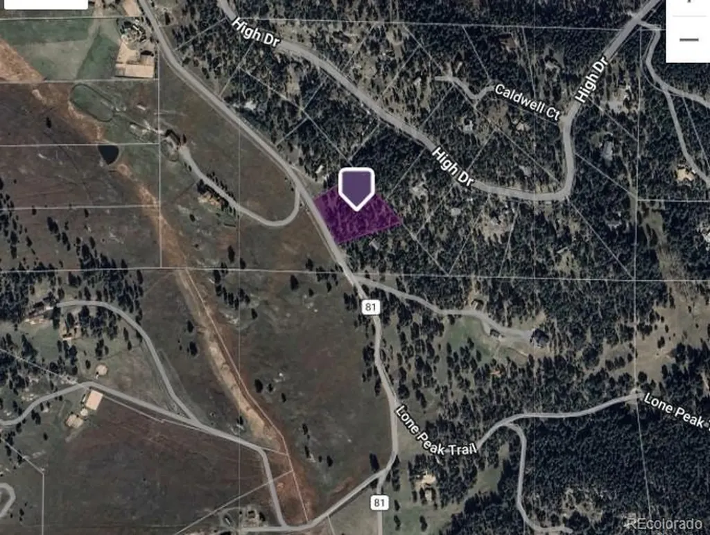 6078 Lone Peak Drive Evergreen CO 80439
