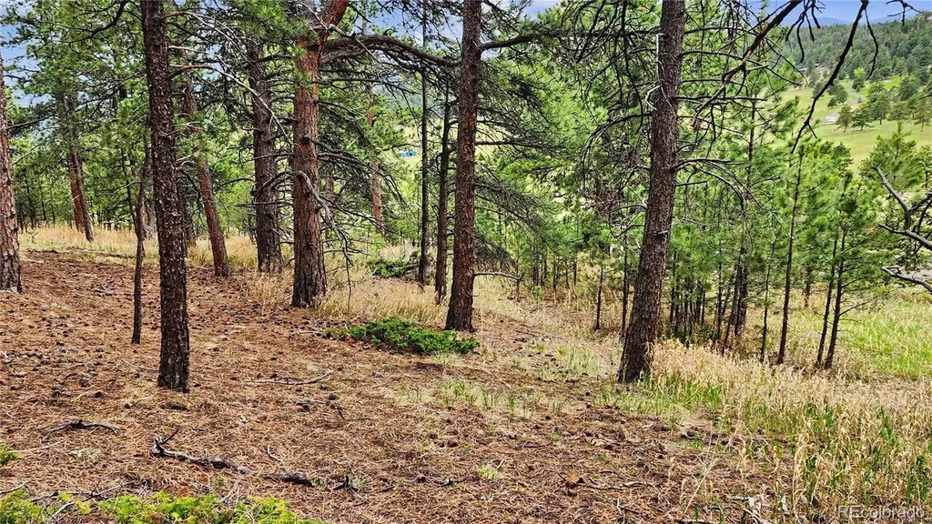 6078 Lone Peak Drive Evergreen CO 80439