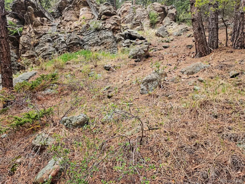 6078 Lone Peak Drive Evergreen CO 80439