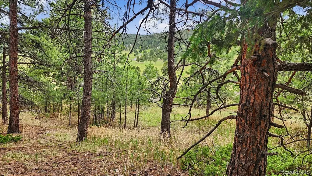 6078 Lone Peak Drive Evergreen CO 80439