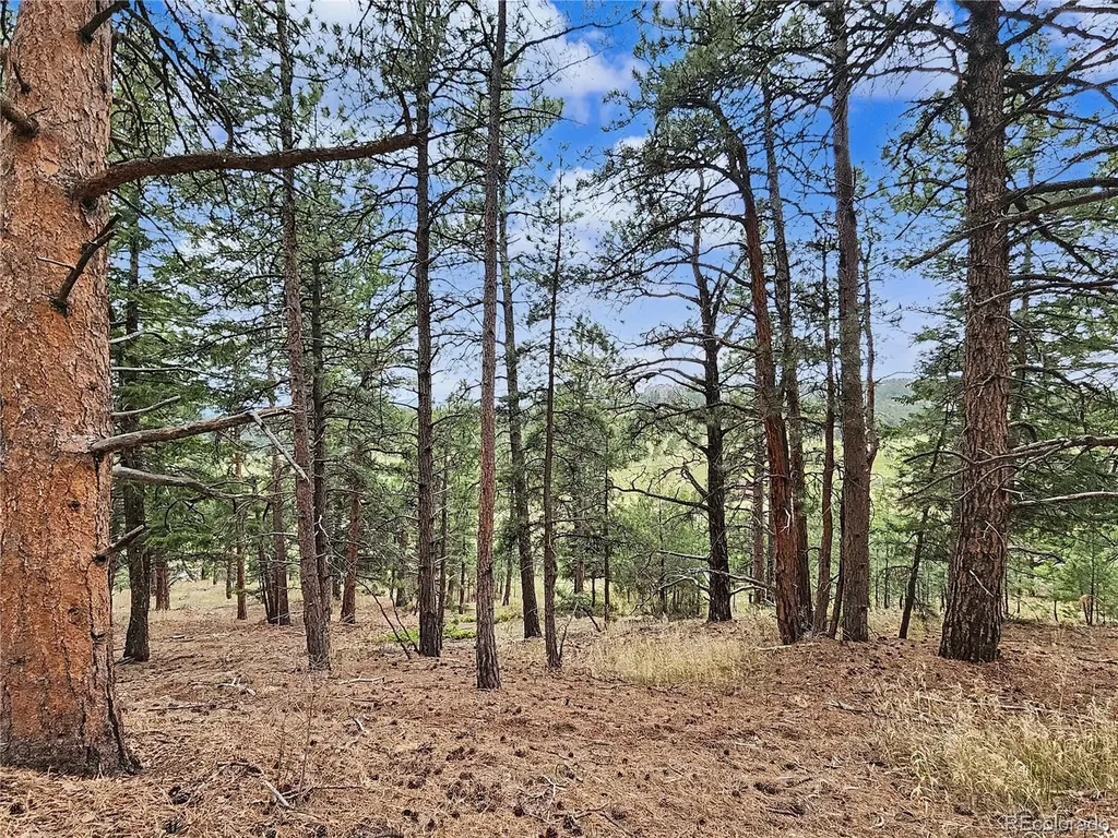 6078 Lone Peak Drive Evergreen CO 80439