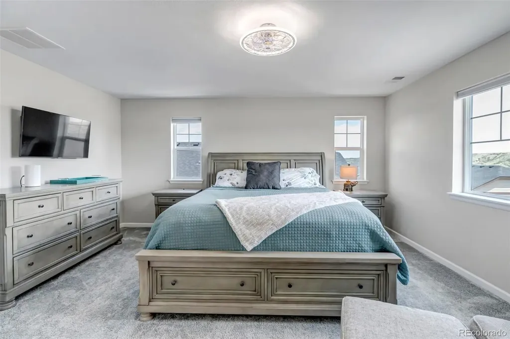 5214 Ditmars Trail Castle Rock CO 80104
