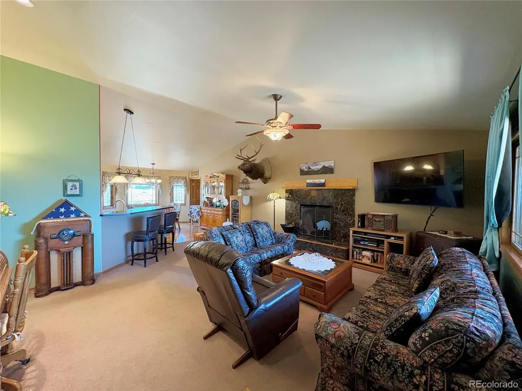 16602 Holly Court Buena Vista CO 81211