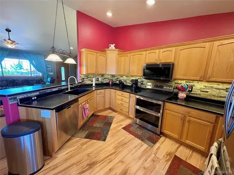16602 Holly Court Buena Vista CO 81211