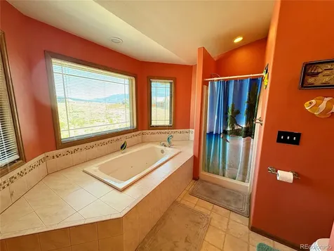 16602 Holly Court Buena Vista CO 81211