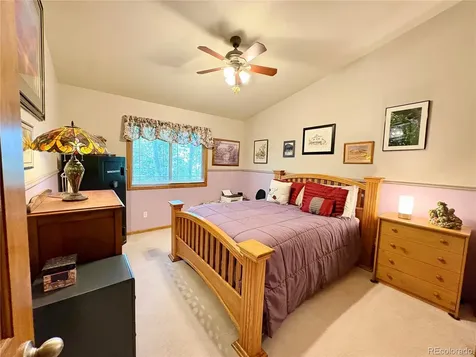 16602 Holly Court Buena Vista CO 81211