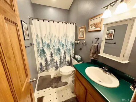 16602 Holly Court Buena Vista CO 81211