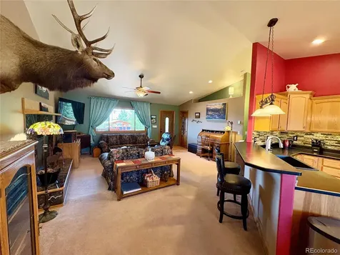 16602 Holly Court Buena Vista CO 81211