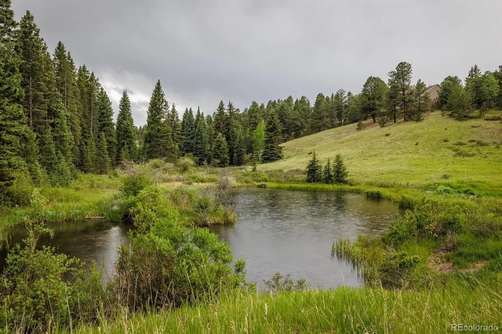 6100 Elk Valley Road Divide CO 80814