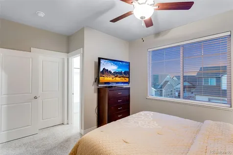 5221 Longshaw Court Windsor CO 80528