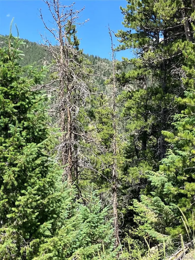 3 Miners Road Black Hawk CO 80422