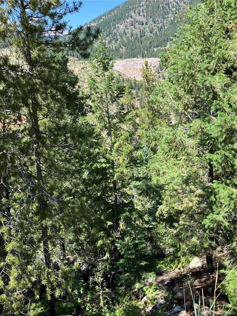 3 Miners Road Black Hawk CO 80422