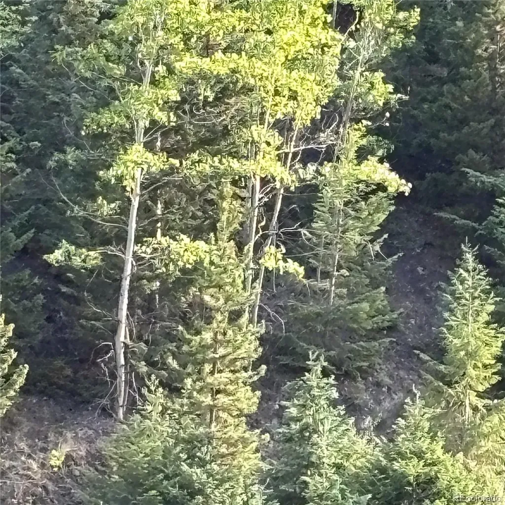 3 Miners Road Black Hawk CO 80422