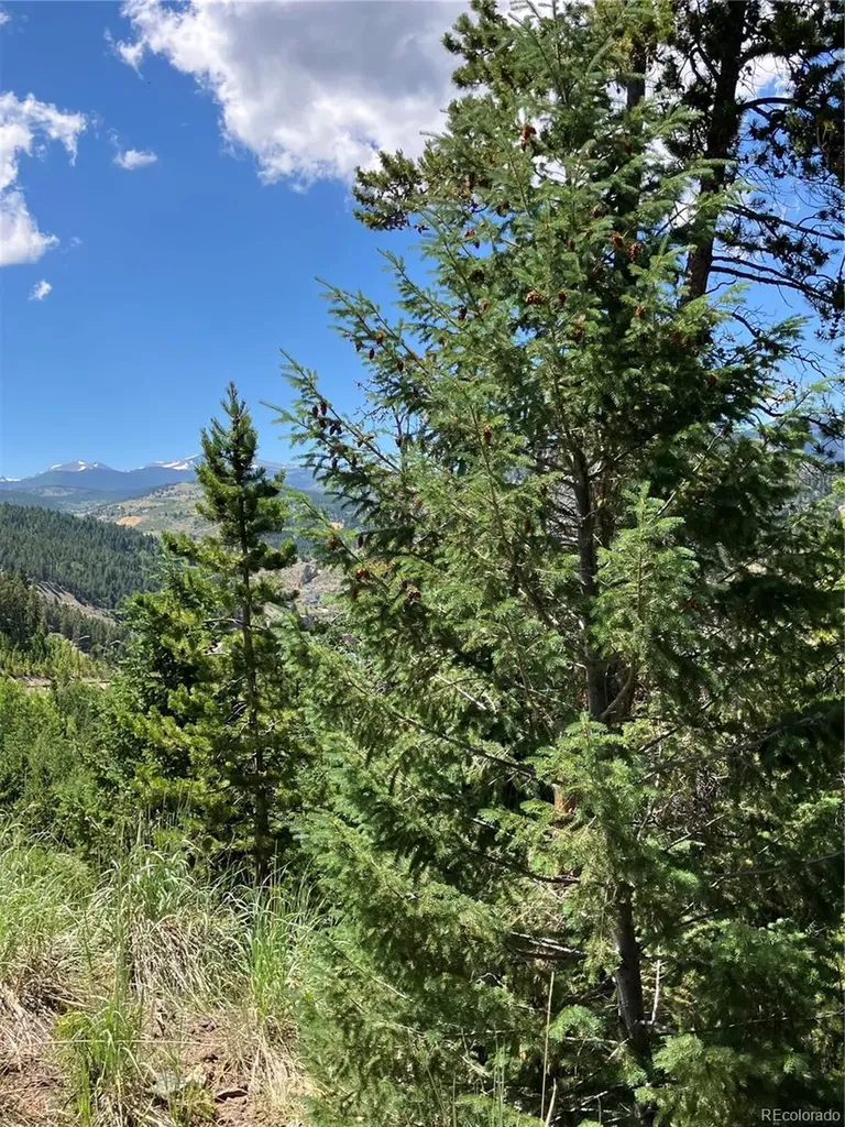 3 Miners Road Black Hawk CO 80422