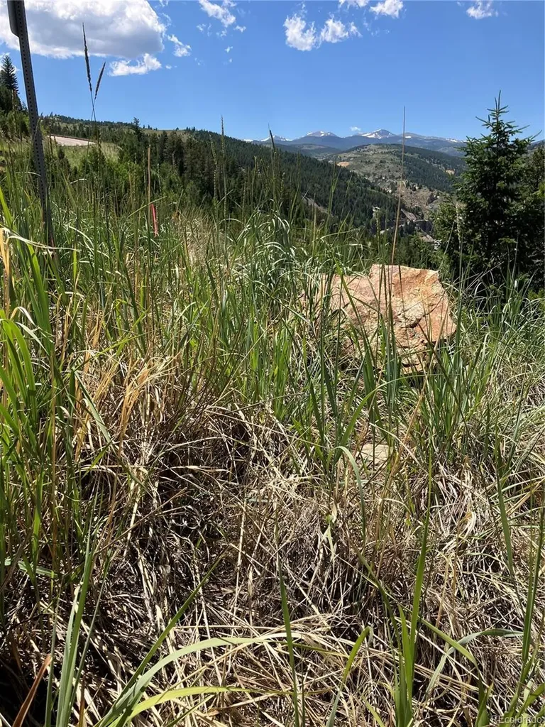 3 Miners Road Black Hawk CO 80422