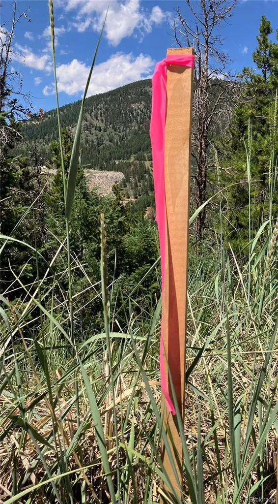 3 Miners Road Black Hawk CO 80422