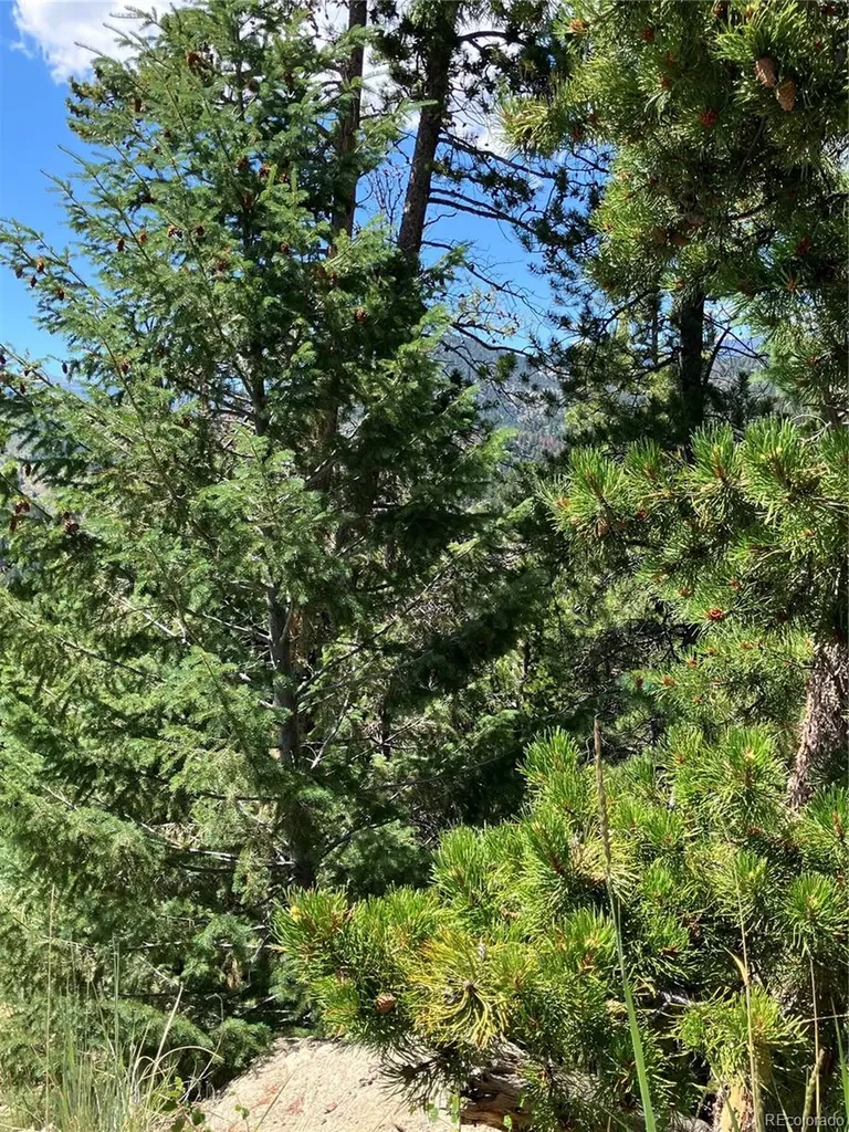 3 Miners Road Black Hawk CO 80422
