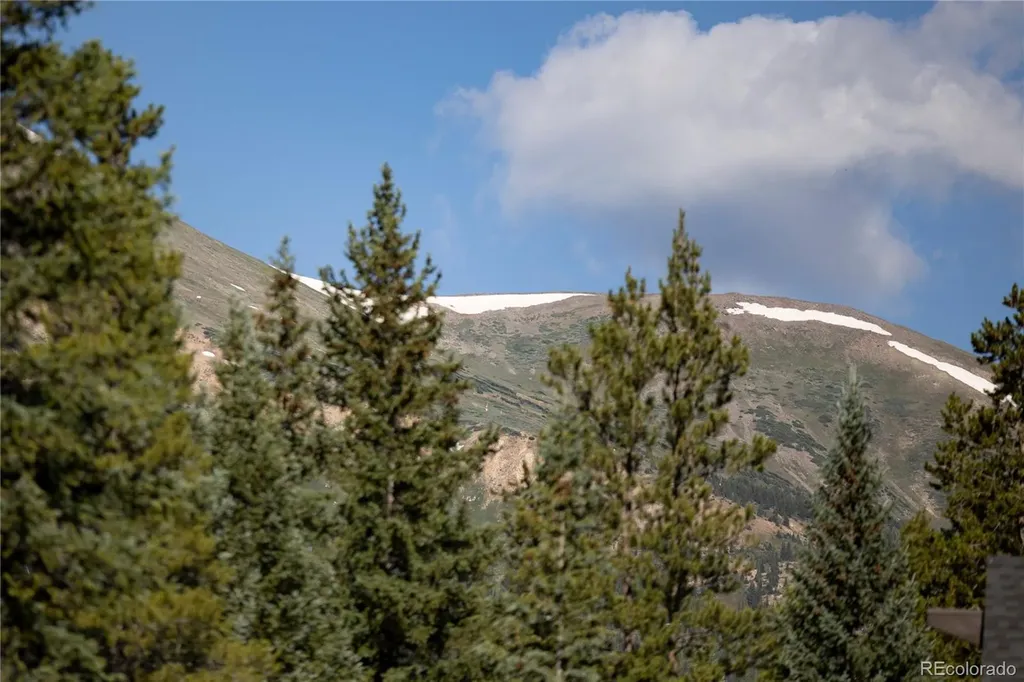 273 River Park Drive Breckenridge CO 80424