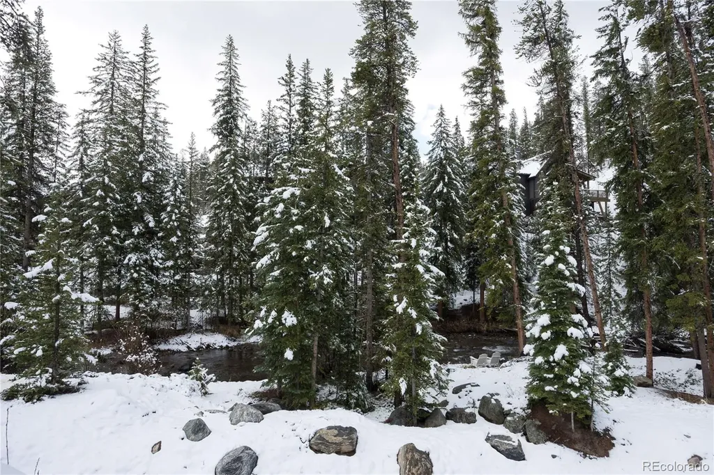 273 River Park Drive Breckenridge CO 80424