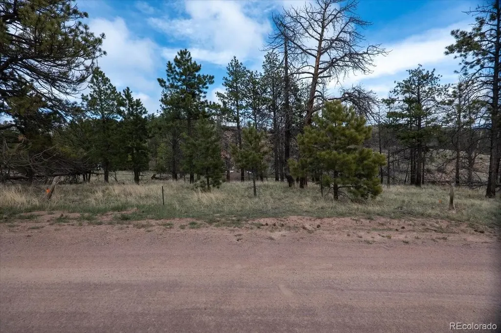 144 Chapparal Trail Florissant CO 80816