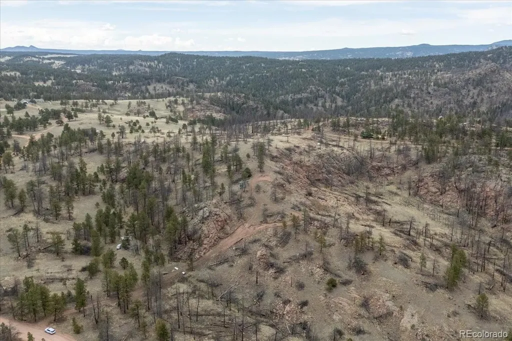 144 Chapparal Trail Florissant CO 80816