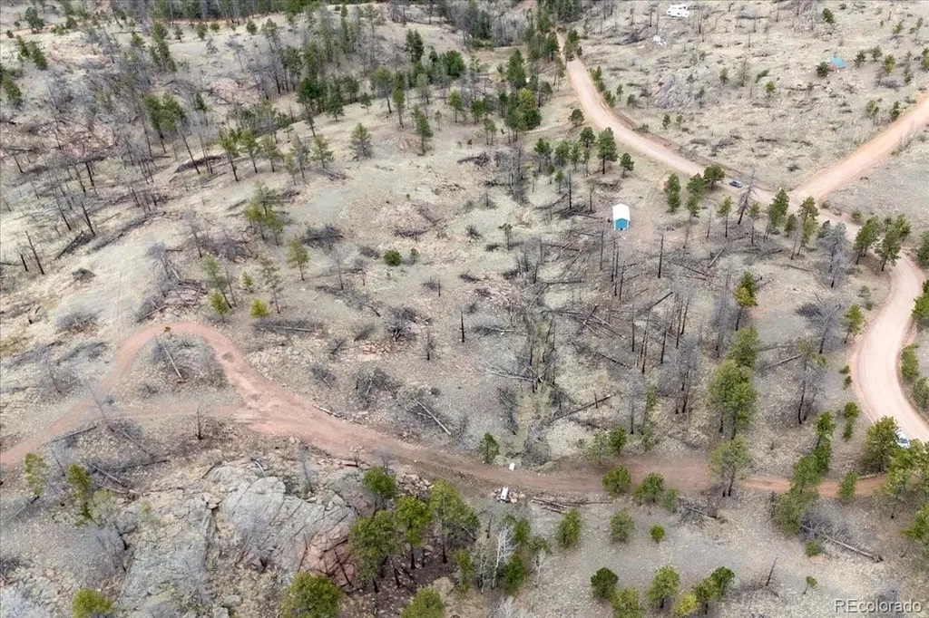 144 Chapparal Trail Florissant CO 80816