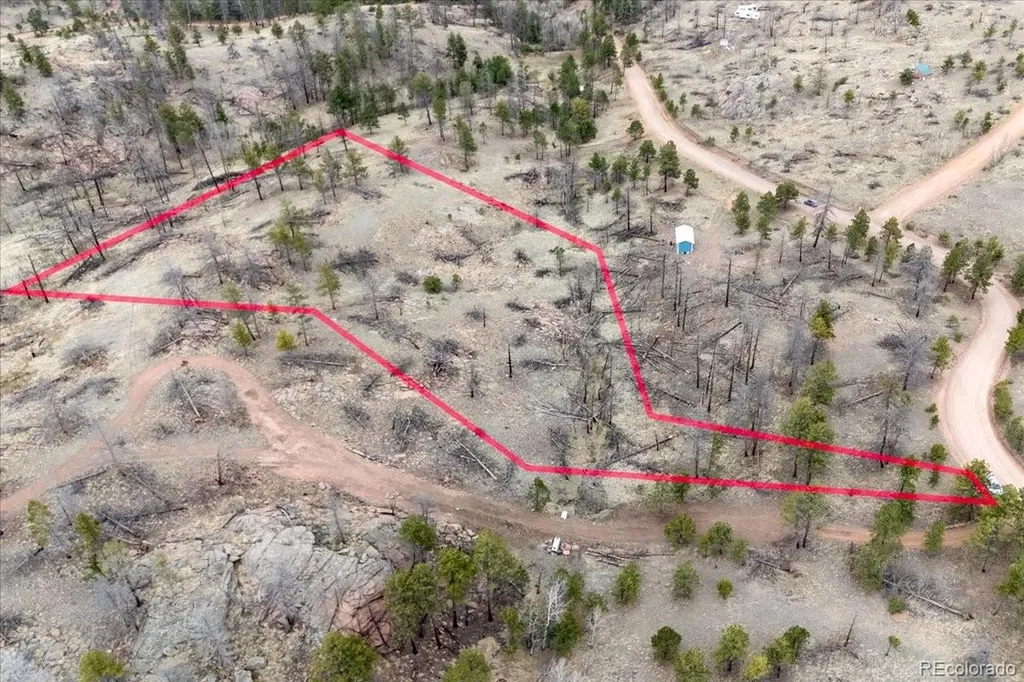 144 Chapparal Trail Florissant CO 80816