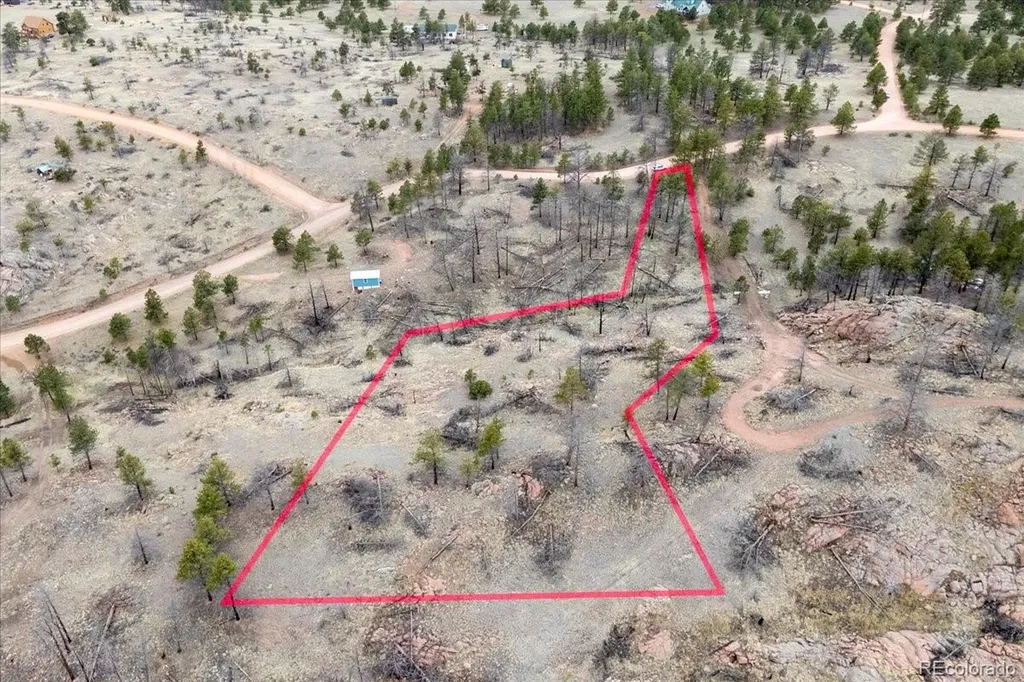 144 Chapparal Trail Florissant CO 80816
