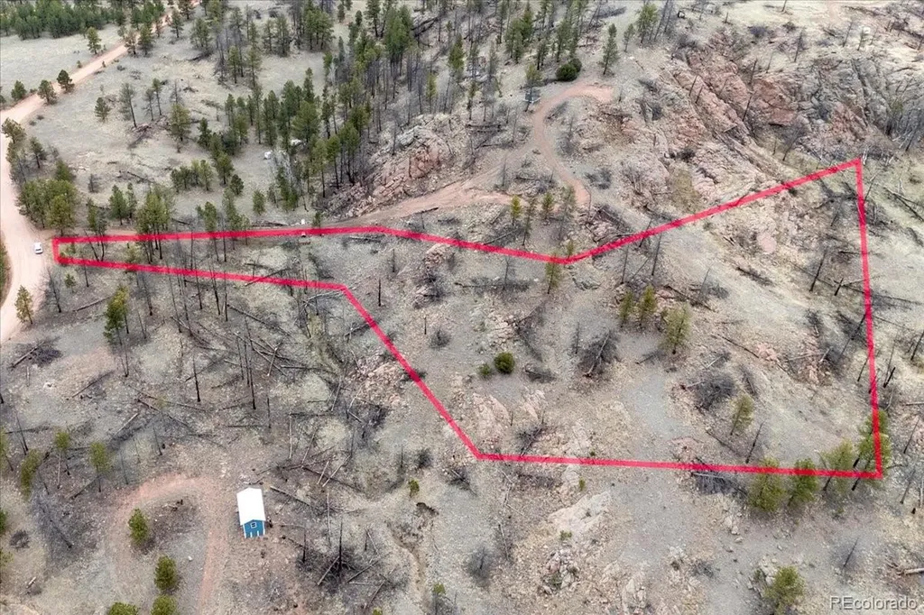 144 Chapparal Trail Florissant CO 80816