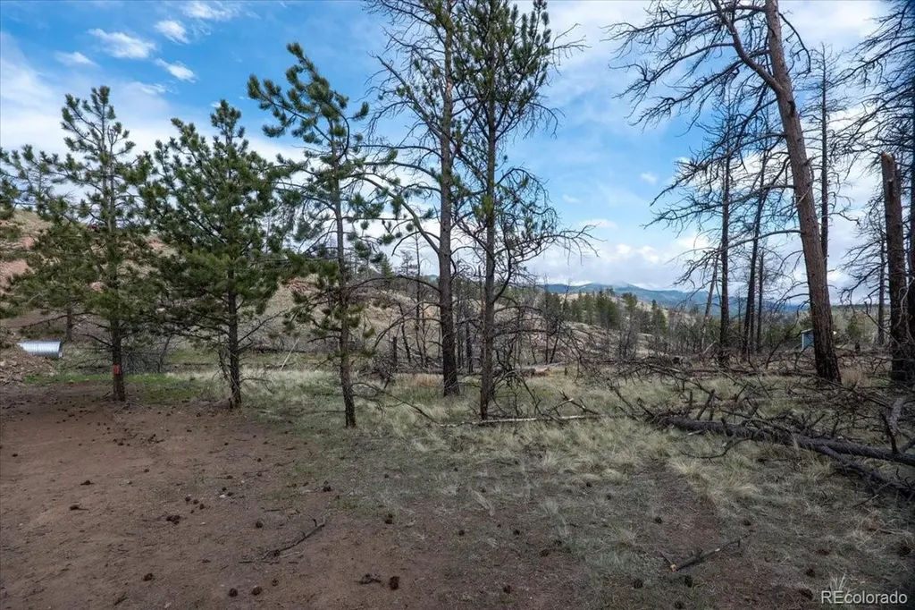 144 Chapparal Trail Florissant CO 80816