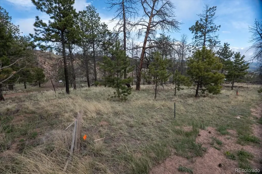 144 Chapparal Trail Florissant CO 80816