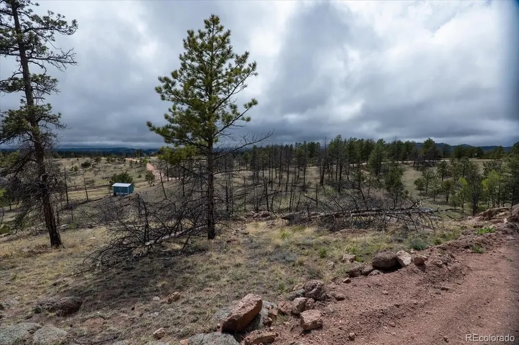 144 Chapparal Trail Florissant CO 80816