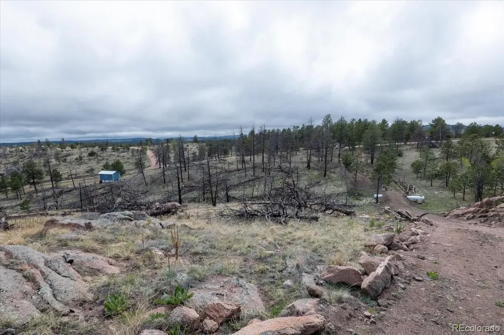 144 Chapparal Trail Florissant CO 80816