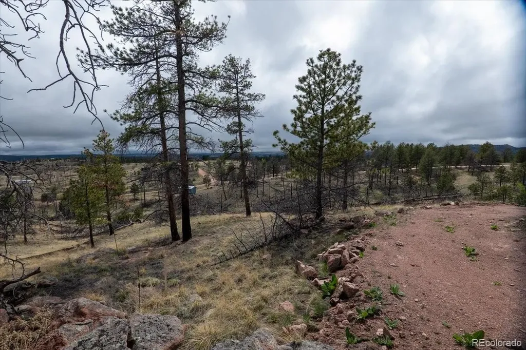 144 Chapparal Trail Florissant CO 80816