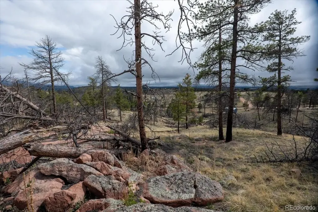 144 Chapparal Trail Florissant CO 80816
