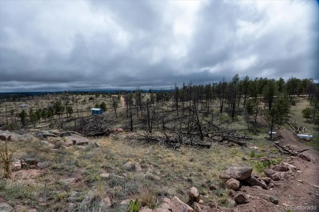 144 Chapparal Trail Florissant CO 80816