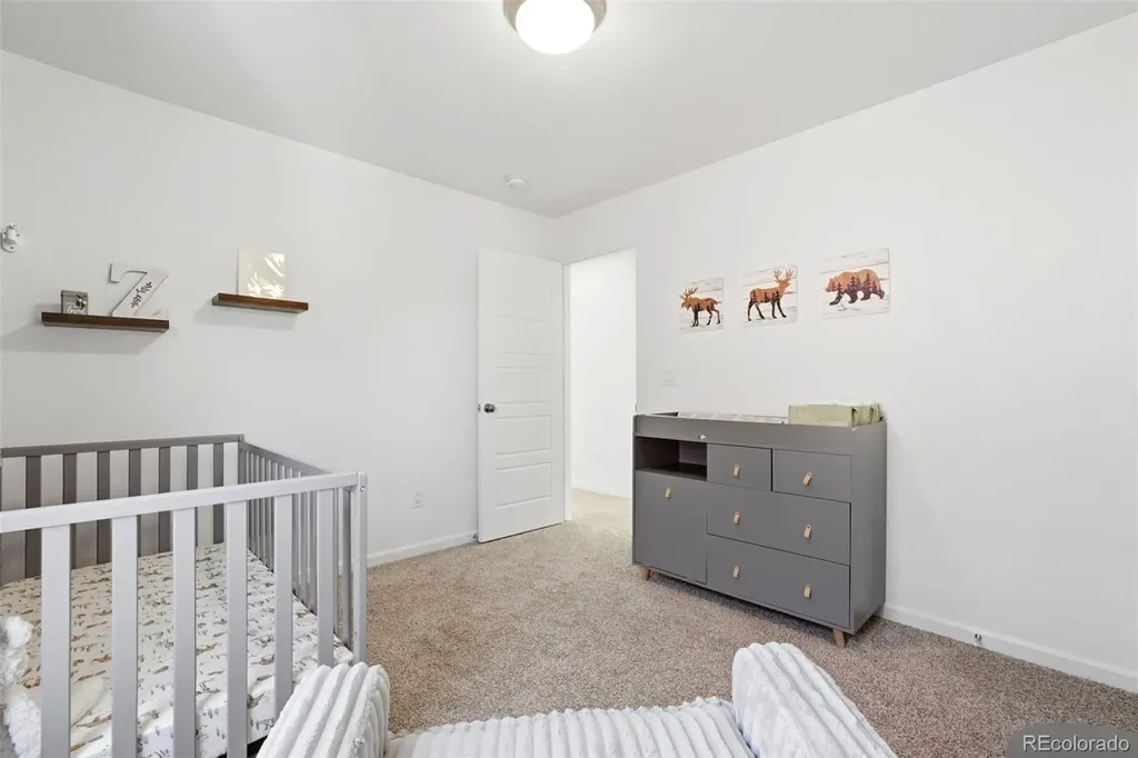 9915 Matchless Street Littleton CO 80125