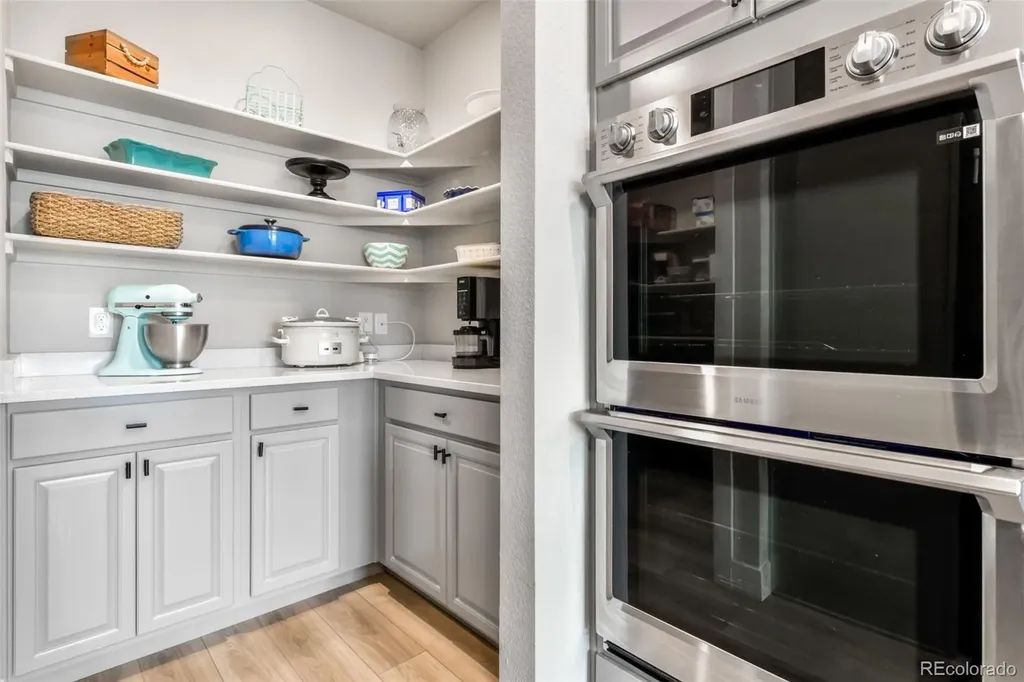 2115 Coyote Mint Drive Monument CO 80132