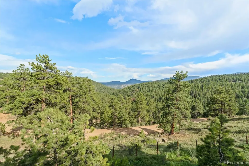 125 Sun Way Bailey CO 80421