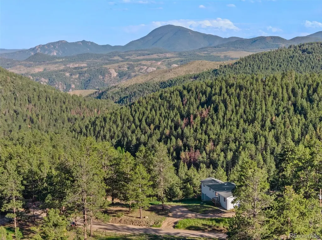 125 Sun Way Bailey CO 80421