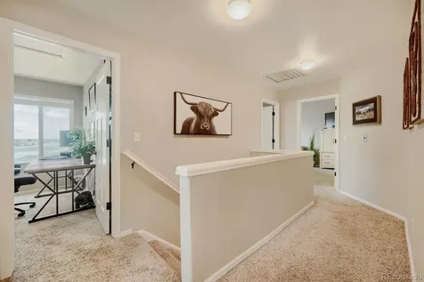 834 S Carlton Street Castle Rock CO 80104